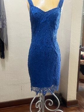 Bodycon lace dress